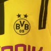 2024/25 Borussia Dortmund Cup Edition 180gsm Football Jersey for Fans