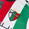 2024-25 Palestine Home Jersey – Sublimated Soccer Jersey for Fans