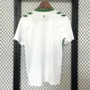 Saint-Etienne Away 2024-25 180gsm Football Jersey