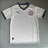 Bahia 2025-26 Home 1:1 Replica Football Jersey – Fan Grade