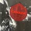 2026 World Cup Canada Away Jersey – Matchday Fan Jersey for True Supporters